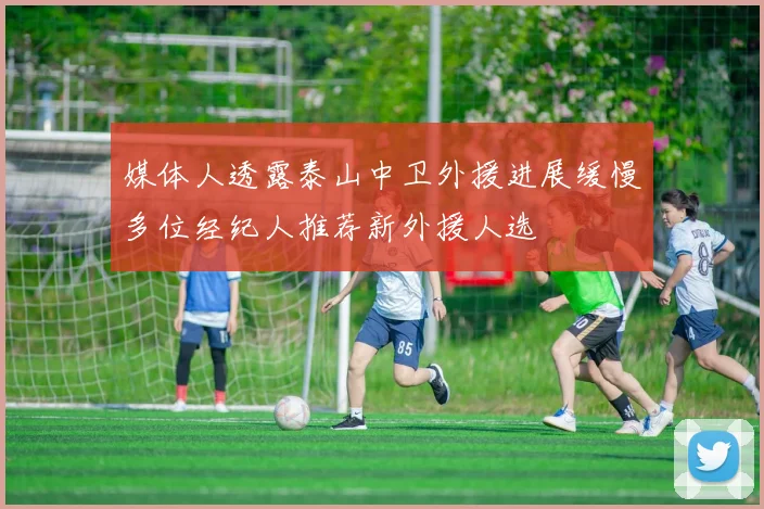 媒体人透露泰山中卫外援进展缓慢多位经纪人推荐新外援人选
